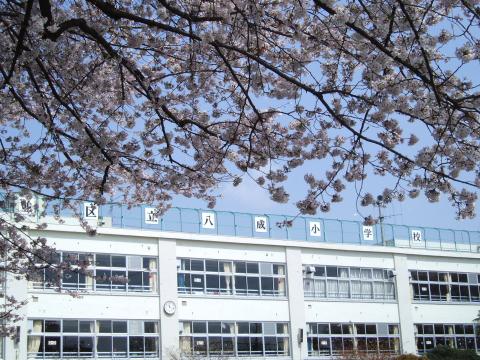 04. 平成22年度入学式 桜と校舎
