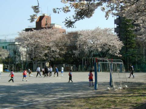 2003桜満開02(2003年4月6日)；サッカー部